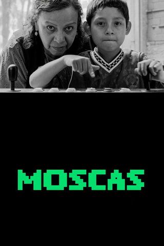 Pôster de Moscas
