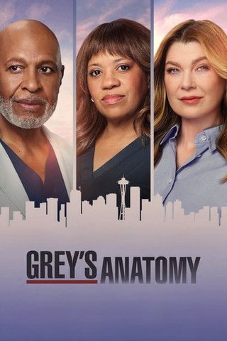 Pôster de Grey's Anatomy — 23ª temporada