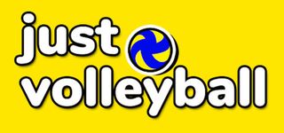 Poster of just volleyball
