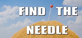 Poster of Find The Needle